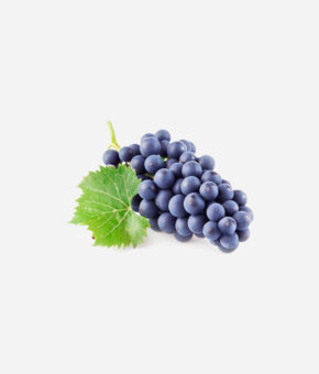 Grapes Black Globe