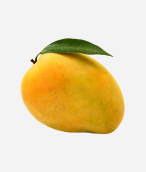 Alphonsos Mango